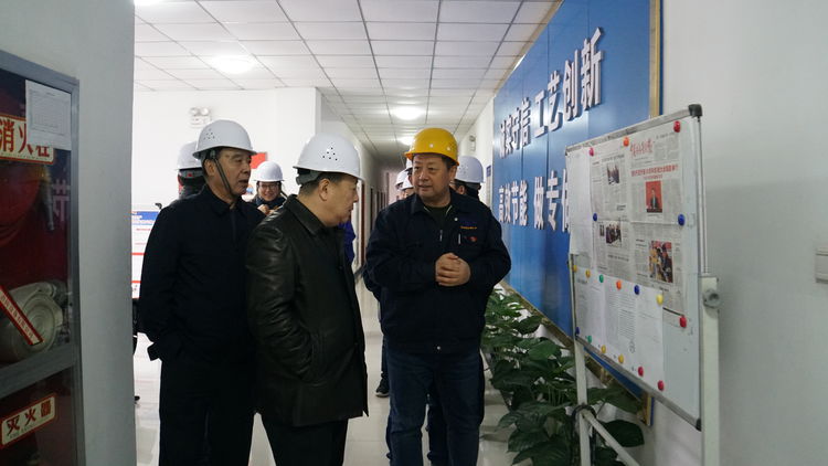 集团领导金辉带队赴标准电梯、标准热处理进行工作调研